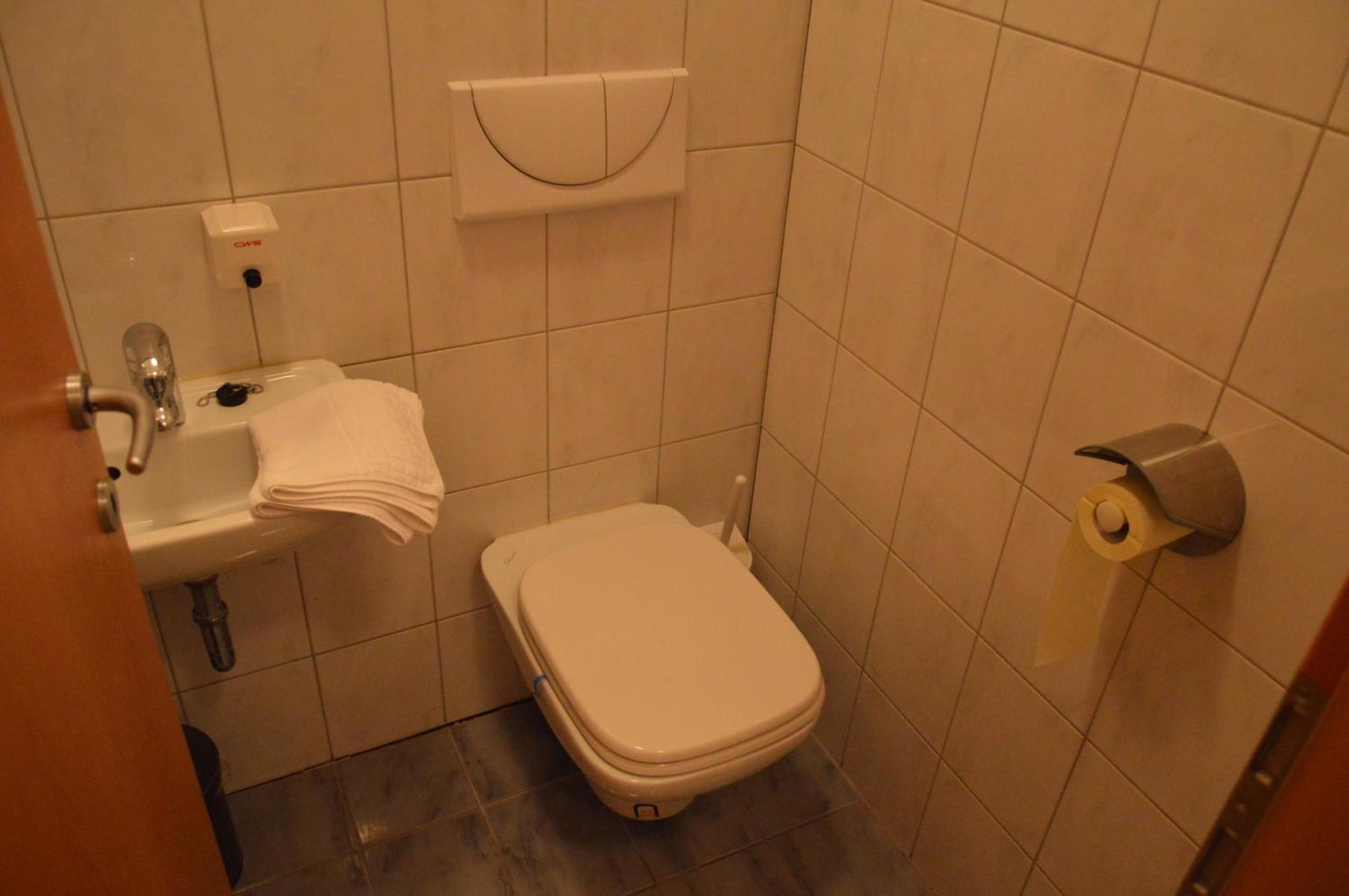 Turisticna Kmetija Cebelji Gradic Daire Rogašovci Dış mekan fotoğraf