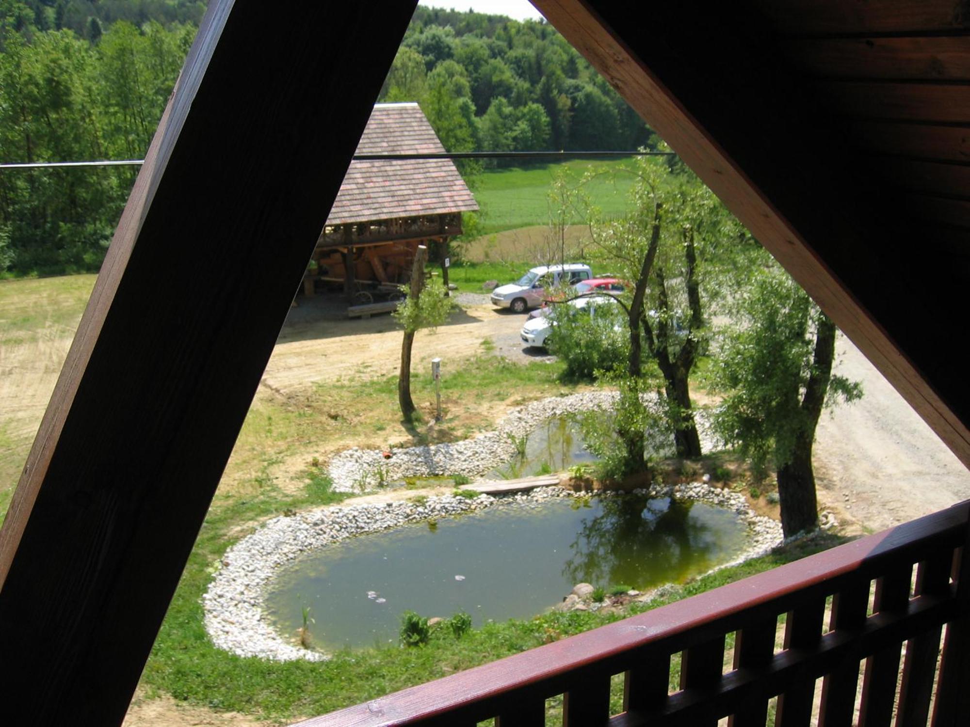 Turisticna Kmetija Cebelji Gradic Daire Rogašovci Dış mekan fotoğraf