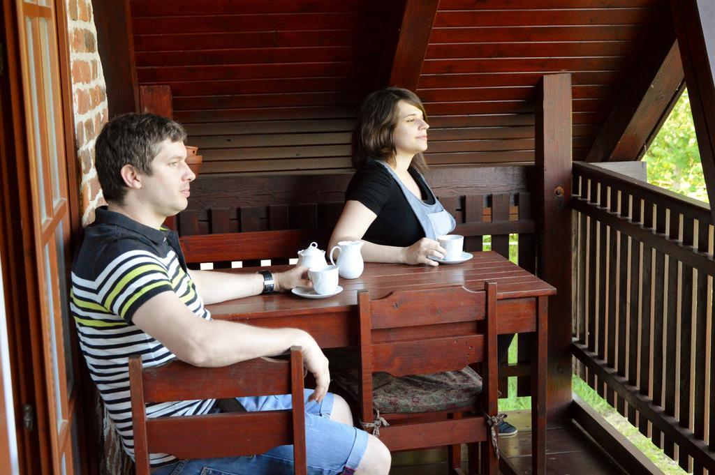 Turisticna Kmetija Cebelji Gradic Daire Rogašovci Dış mekan fotoğraf